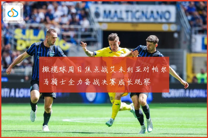 橄榄球周日焦点战艾米利亚对帕尔马骑士全力备战决赛成长观察