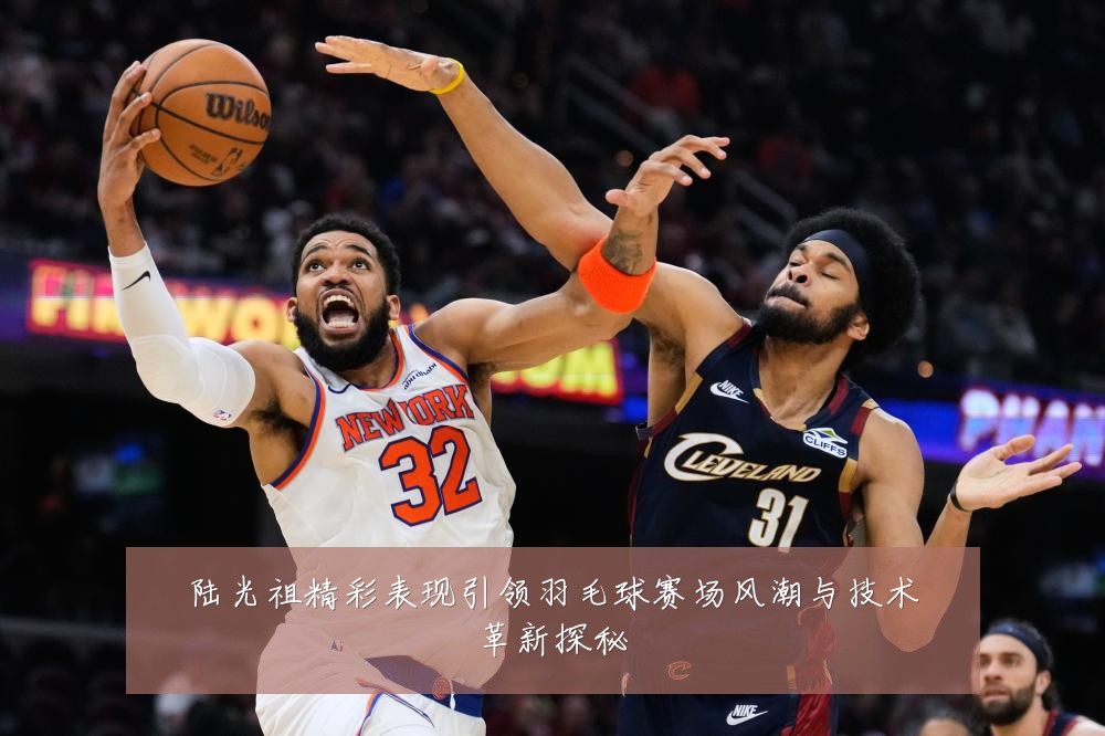 陆光祖精彩表现引领羽毛球赛场风潮与技术革新探秘