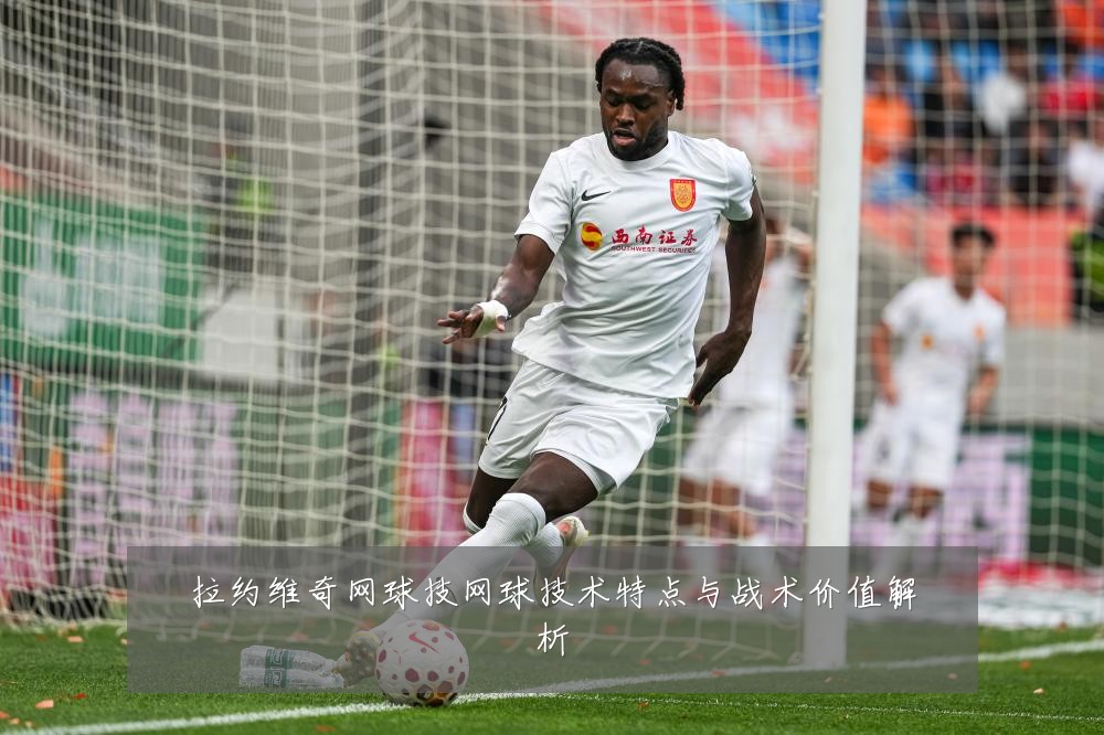 拉约维奇网球技网球技术特点与战术价值解析